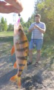 IMG_02-05-2012_165246.jpg