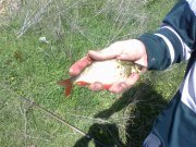 30052011080.jpg