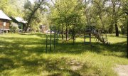IMAG0780.jpg