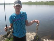 IMG_0006.jpg