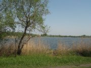 DSCF1408.JPG