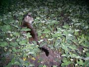 PIC_0048.jpg