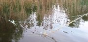 DSC07100.JPG