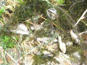 DSC07115.JPG