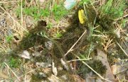 DSC07116.JPG