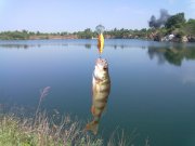 07052012186.jpg
