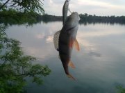 08052012193.jpg