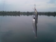 08052012197.jpg