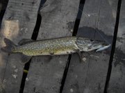 07052012_2.jpg