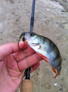 IMG_0403.jpg