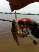 IMG_0404.jpg