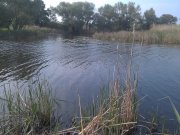 IMAG0112.jpg