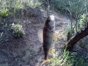 10052012202.jpg
