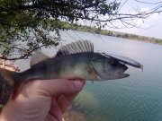 11052012214.jpg