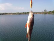 11052012208.jpg