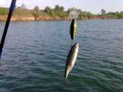11052012206.jpg