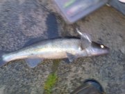 12052012188.jpg