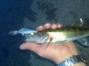 12052012189.jpg
