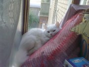 09052012034.jpg