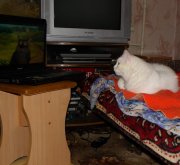 IMGP0922.jpg