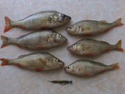 DSC00430.JPG