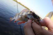 IMG_8035.jpg
