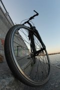 IMG_8068.jpg