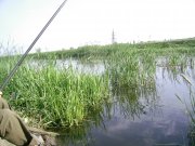 22.05-1.jpg