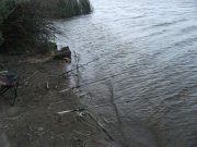 DSCF8101.jpg