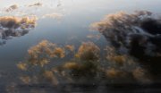 IMG_0636_resize.jpg
