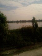 Photo-0204.jpg