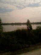 Photo-0205.jpg