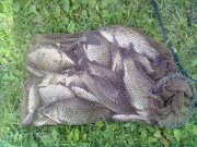 Photo1048.jpg