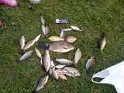 IMG_20120531_201712.jpg