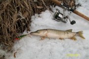 100_2425.jpg