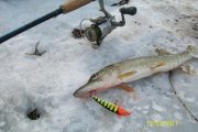 100_2428.jpg
