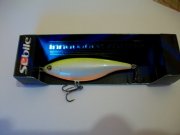 100_0403.jpg