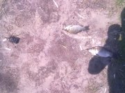 09062012313.jpg