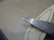 IMG_3928.jpg