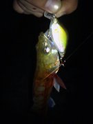 11062012540.jpg