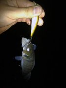 11062012541.jpg