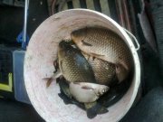 10062012103.jpg
