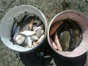 10062012105.jpg