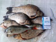 IMG_20120616_115935.jpg