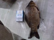 IMG_20120616_120132.jpg