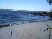 DSC00600.jpg