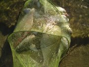 DSC00602.jpg
