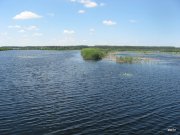 IMG_6063.JPG