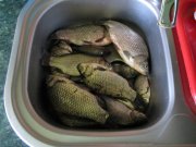 IMG_0439.jpg