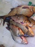 IMG_20120624_100520.jpg